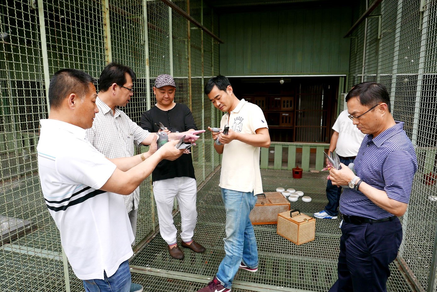 江苏无锡天一鸽舍胡永伟和教练,新北市林建民陪同来台中赖铭涺鸽舍