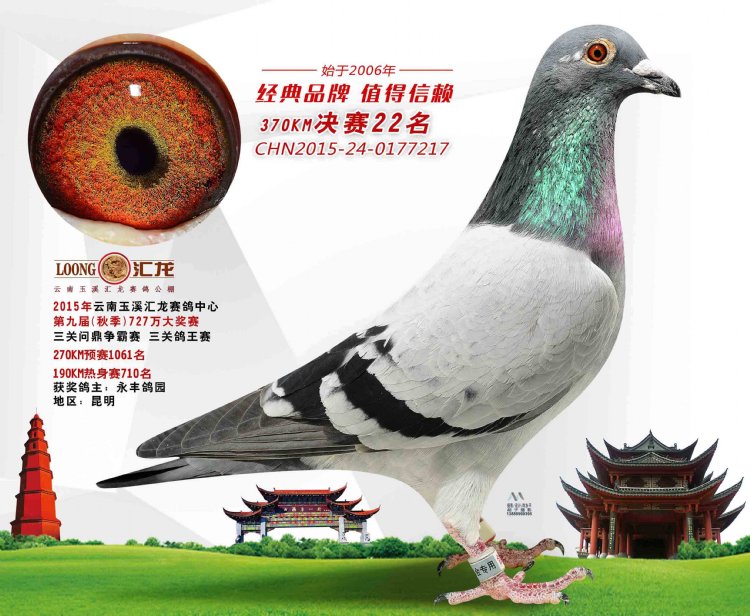 云南汇龙公棚1-100名